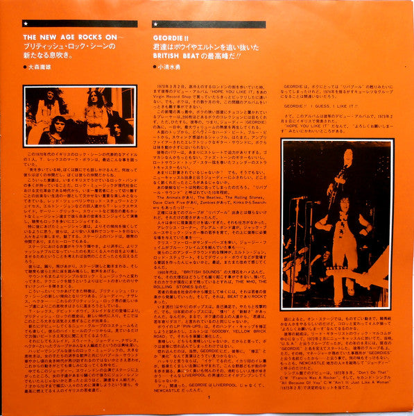 Geordie - Hope You Like It (Vinyl, LP, Album) Very Good (VG) / Very Good (VG)