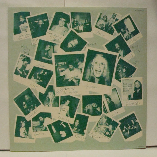 Kim Carnes - Mistaken Identity (Vinyl, LP, Album)