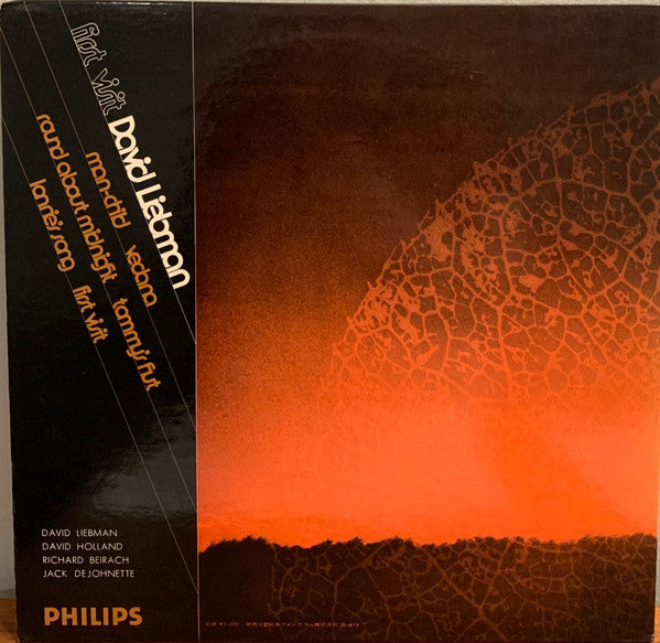 David Liebman - First Visit (Vinyl, LP, Album, Stereo) Very Good Plus (VG+) / Very Good (VG)
