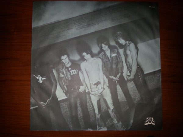 Mr Big - Photographic Smile (Vinyl, LP, Album)