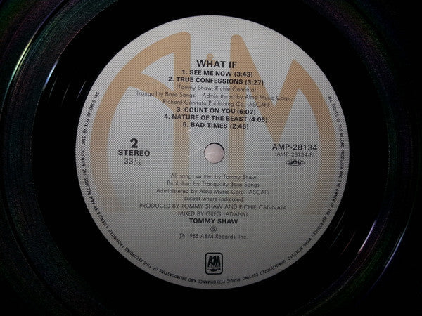 Tommy Shaw - What If (Vinyl, LP, Album) Near Mint (NM or M-) / Near Mint (NM or M-)