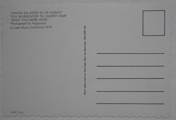 Pink Floyd - Wish You Were Here (Vinyl, LP, Album, Reissue) Very Good (VG) / Very Good (VG)