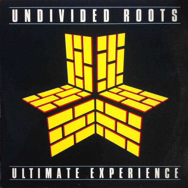 Undivided Roots - Ultimate Experience (Vinyl, LP, Album) Very Good Plus (VG+) / Very Good (VG)