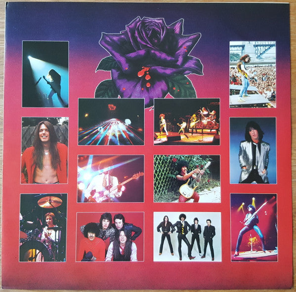Thin Lizzy - Black Rose (A Rock Legend) (Vinyl, LP, Album, Promo) Very Good Plus (VG+) / Very Good Plus (VG+)