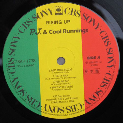 PJ & Cool Runnings - Rising Up (Vinyl, LP, Album) Near Mint (NM or M-) / Near Mint (NM or M-)