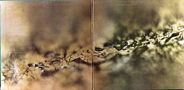 Tangerine Dream - Rubycon (Vinyl, LP, Album)