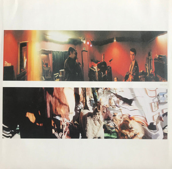 The Bluetones - Science & Nature (Vinyl, LP, Album, Limited Edition) Very Good (VG) / Very Good Plus (VG+)