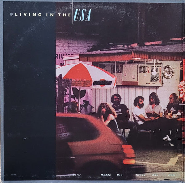 Linda Ronstadt - Living In The USA (Vinyl, LP, Album, Stereo) Very Good Plus (VG+) / Very Good (VG)