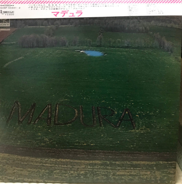 Madura - Madura (Vinyl, LP, Album)