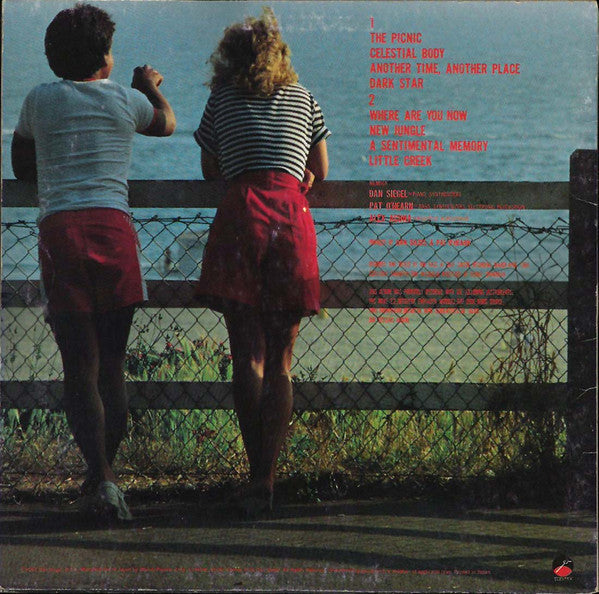 Dan Siegel Project - Another Time, Another Place (Vinyl, LP, Album) Very Good Plus (VG+) / Very Good Plus (VG+)
