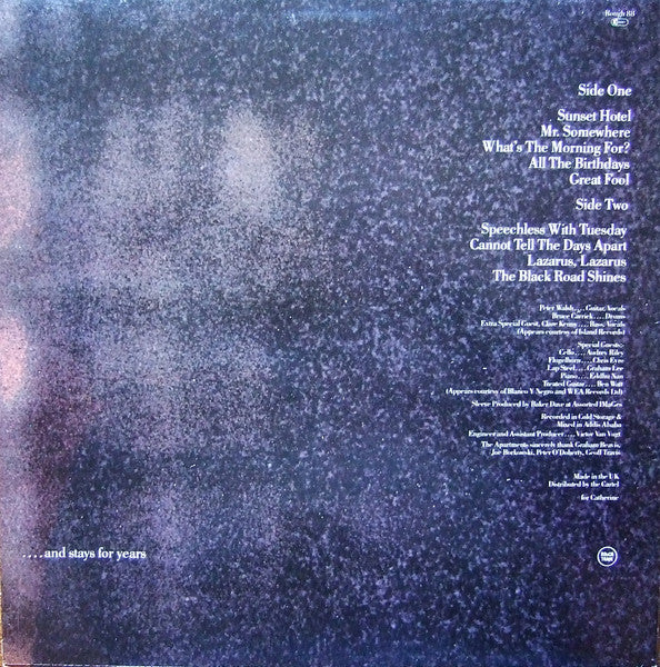 The Apartments - The Evening Visits....And Stays For Years (Vinyl, LP, Album) Very Good (VG) / Very Good Plus (VG+)