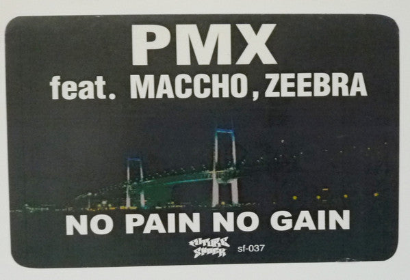 DJ PMX - No Pain, No Gain (Vinyl, 12", 33 ⅓ RPM, Maxi-Single, Promo, Stereo) Very Good Plus (VG+) / Generic