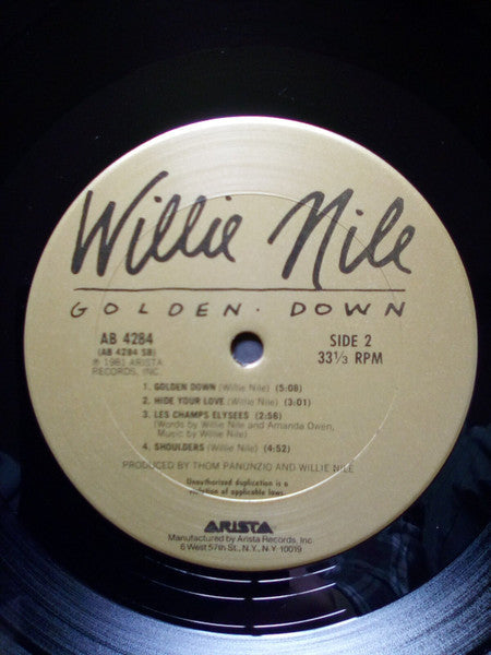 Willie Nile - Golden Down (Vinyl, LP, Album) Very Good Plus (VG+) / Very Good Plus (VG+)