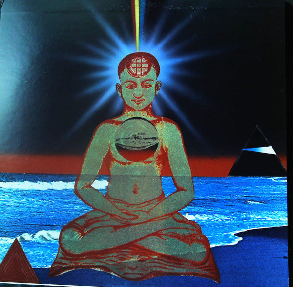 Carlos Santana - The Swing Of Delight (2xVinyl, LP, Album, Promo, Stereo) Near Mint (NM or M-) / Very Good (VG)