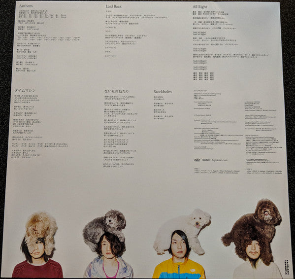 Fujifabric - Chronicle (2xVinyl, LP, Album, Limited Edition, Stereo) Very Good Plus (VG+) / Near Mint (NM or M-)