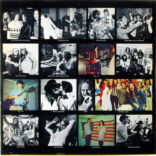 Lynyrd Skynyrd - Skynyrd's First And... Last (Vinyl, LP, Album) Good Plus (G+) / Very Good Plus (VG+)
