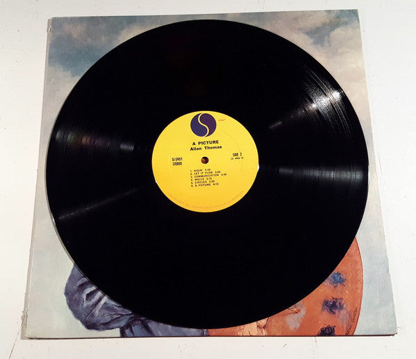 Allan Thomas - A Picture (Vinyl, LP, Album, Stereo) Very Good (VG) / Good Plus (G+)