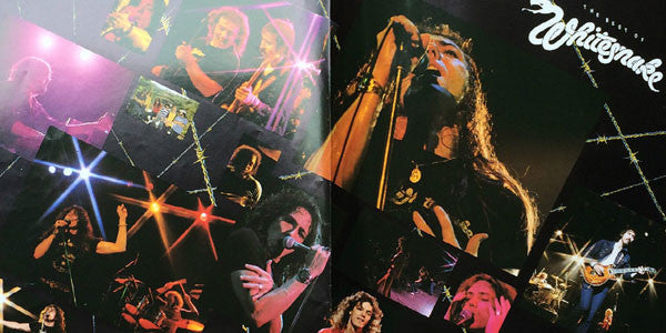 Whitesnake - The Best Of Whitesnake (Vinyl, LP, Compilation, Stereo)