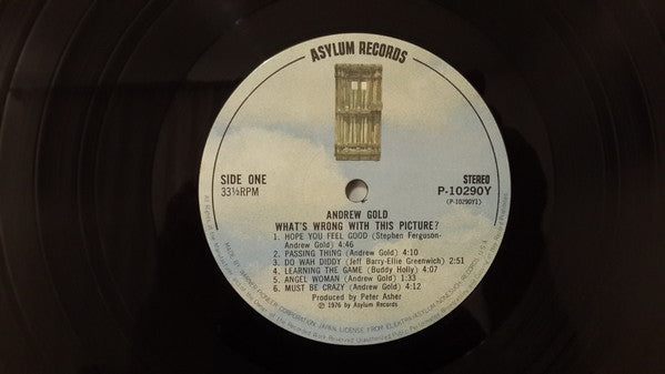 Andrew Gold - What's Wrong With This Picture? (Vinyl, LP, Album) Very Good Plus (VG+) / Very Good (VG)
