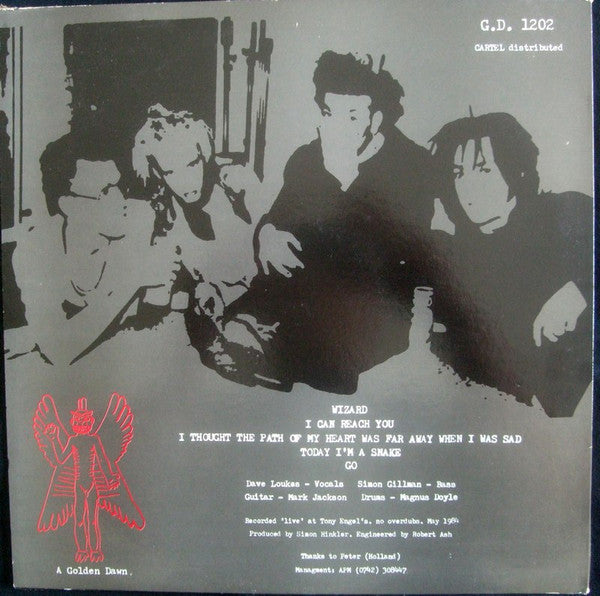 The Midnight Choir - Gideon Turtle And The Midnight Choir EP (Vinyl, 12", 45 RPM, EP) Very Good Plus (VG+) / Very Good Plus (VG+)
