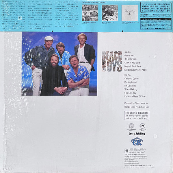 The Beach Boys - The Beach Boys = ザ・ビーチ・ボーイズ (Vinyl, LP, Album)