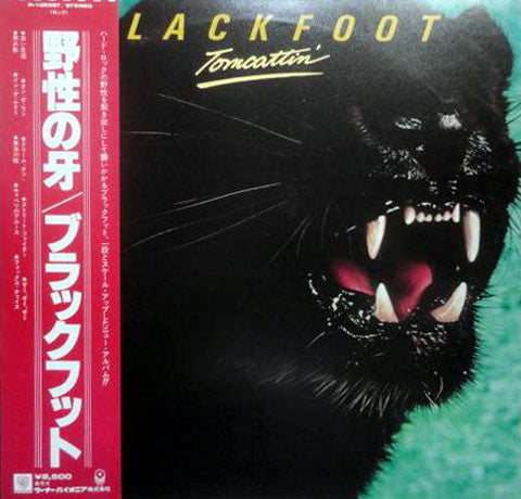 Blackfoot (3) - Tomcattin' (Vinyl, LP, Album) Near Mint (NM or M-) / Very Good Plus (VG+)