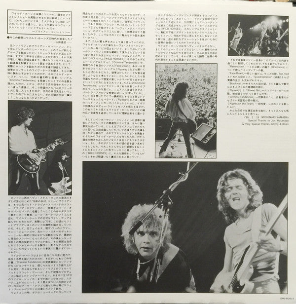 Wild Horses - The First Album (Vinyl, LP, Album) Very Good Plus (VG+) / Very Good Plus (VG+)