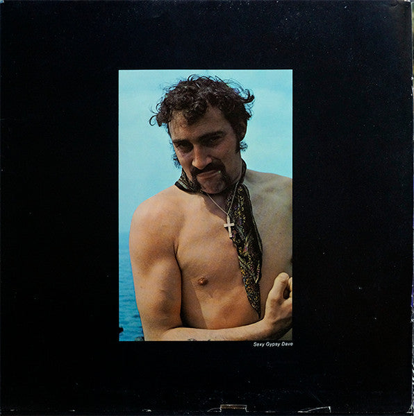 Donovan - Donovan's Greatest Hits (Vinyl, LP, Compilation, Stereo)