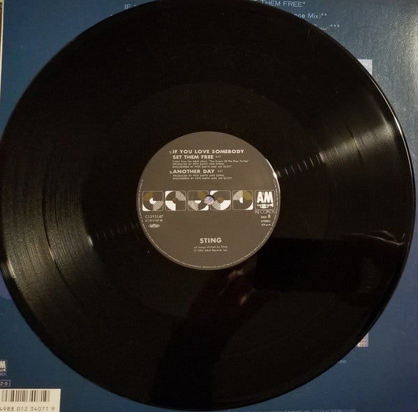 Sting - If You Love Somebody Set Them Free (Vinyl, 12", 45 RPM) Very Good (VG) / Very Good Plus (VG+)