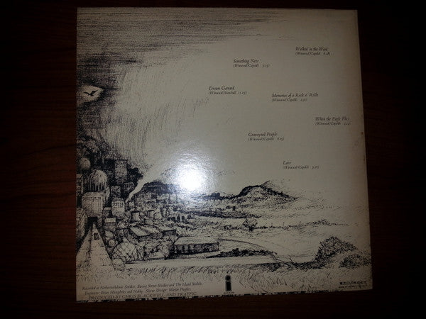 Traffic - When The Eagle Flies (Vinyl, LP, Album, Promo) Very Good Plus (VG+) / Very Good (VG)