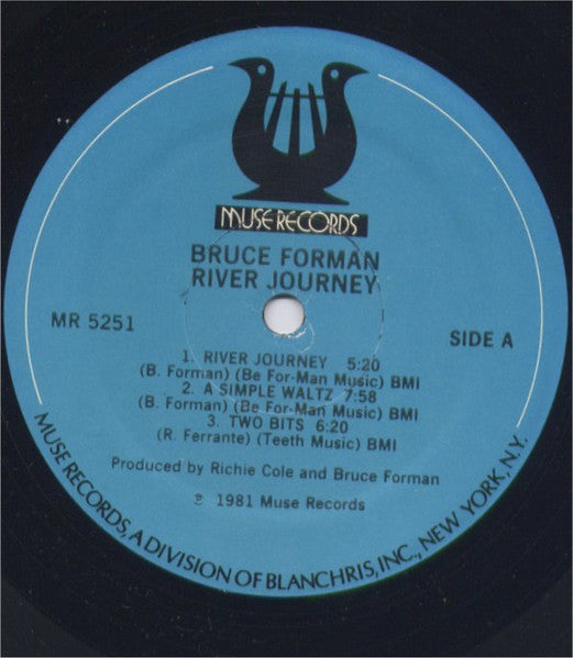 Bruce Forman - River Journey (Vinyl, LP, Album)