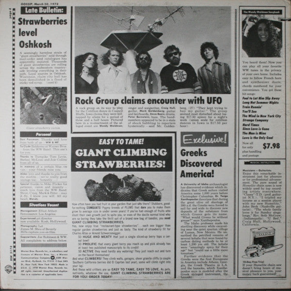 Wendy Waldman - Strange Company (Vinyl, LP, Album, Stereo) Very Good Plus (VG+) / Very Good (VG)