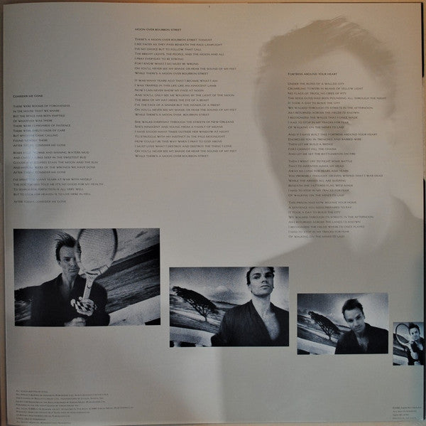 Sting - The Dream Of The Blue Turtles (Vinyl, LP, Album, Stereo) Very Good (VG) / Very Good Plus (VG+)