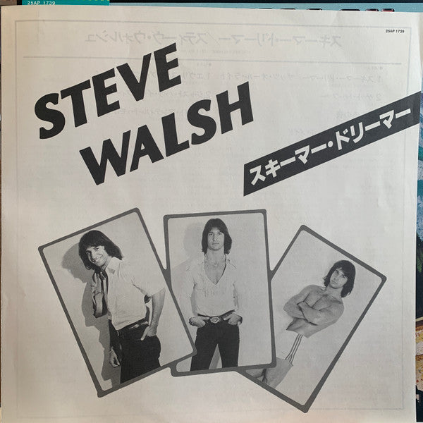 Steve Walsh - Schemer Dreamer (Vinyl, LP, Album, Stereo) Very Good Plus (VG+) / Very Good Plus (VG+)