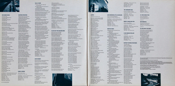 Van Morrison - Too Long In Exile (2xVinyl, LP, Album, Stereo) Very Good (VG) / Very Good Plus (VG+)