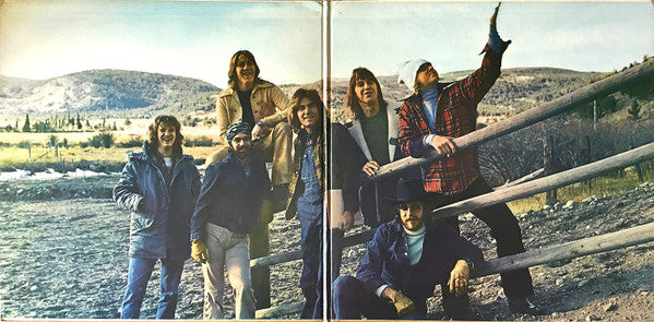 Chicago (2) - Chicago VII (Vinyl, LP, Album)