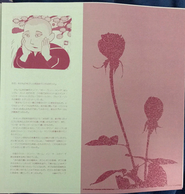 Cat Stevens - Buddha And The Chocolate Box (Vinyl, LP, Album) Very Good (VG) / Very Good (VG)