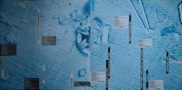 Lee Ritenour - First Course (Vinyl, LP, Album) Near Mint (NM or M-) / Very Good Plus (VG+)