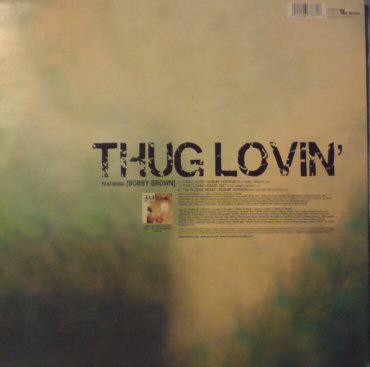 Ja Rule - Thug Lovin' (Vinyl, 12", 33 ⅓ RPM) Very Good Plus (VG+) / Very Good Plus (VG+)