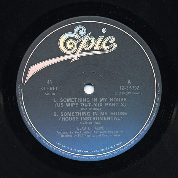 Dead Or Alive - Something In My House (Vinyl, 12", 45 RPM) Near Mint (NM or M-) / Very Good Plus (VG+)