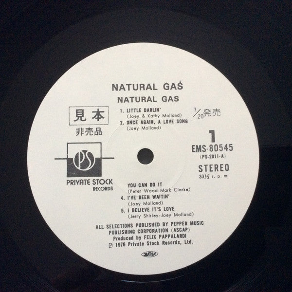 Natural Gas - Natural Gas (Vinyl, LP, Album, Promo) Very Good Plus (VG+) / Very Good Plus (VG+)