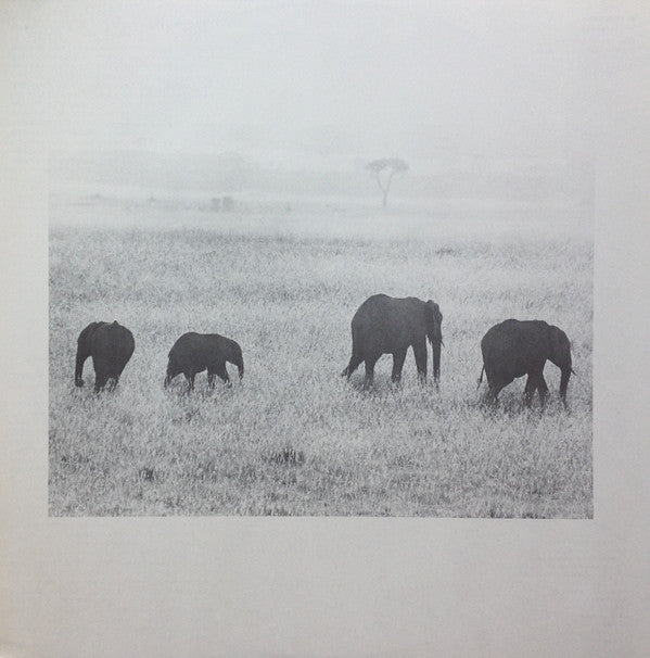 Tadayuki Naitoh - Masailand = マサイランド (Vinyl, LP, Album, Stereo) Very Good Plus (VG+) / Very Good (VG)