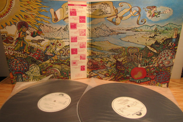 The Allman Brothers Band - Eat A Peach (2xVinyl, LP, Album, Promo, Reissue, Stereo) Very Good Plus (VG+) / Good Plus (G+)