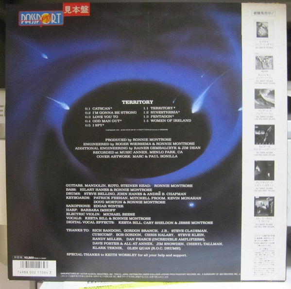 Ronnie Montrose - Territory (Vinyl, LP, Album, Promo) Very Good Plus (VG+) / Good Plus (G+)