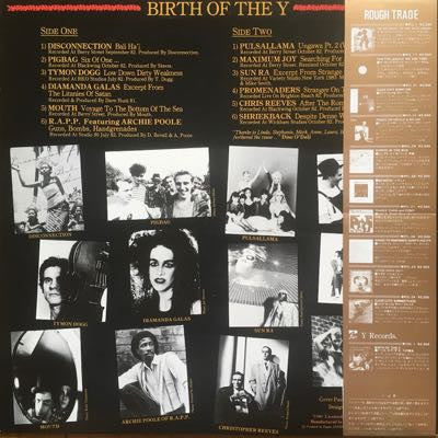 Various - Birth Of The Y (Vinyl, LP, Compilation, Promo) Near Mint (NM or M-) / Very Good Plus (VG+)