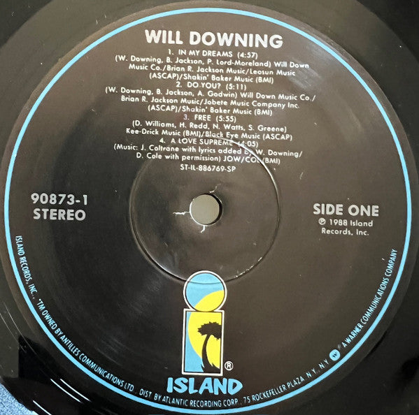 Will Downing - Will Downing (Vinyl, LP, Album) Very Good (VG) / Very Good (VG)