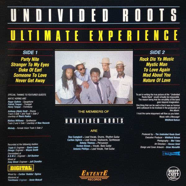 Undivided Roots - Ultimate Experience (Vinyl, LP, Album) Very Good Plus (VG+) / Very Good (VG)