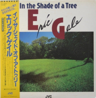 Eric Gale - In The Shade Of A Tree (Vinyl, LP, Album)