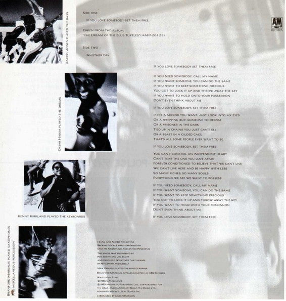 Sting - If You Love Somebody Set Them Free (Vinyl, 7", 45 RPM, Single, Stereo) Near Mint (NM or M-) / Near Mint (NM or M-)