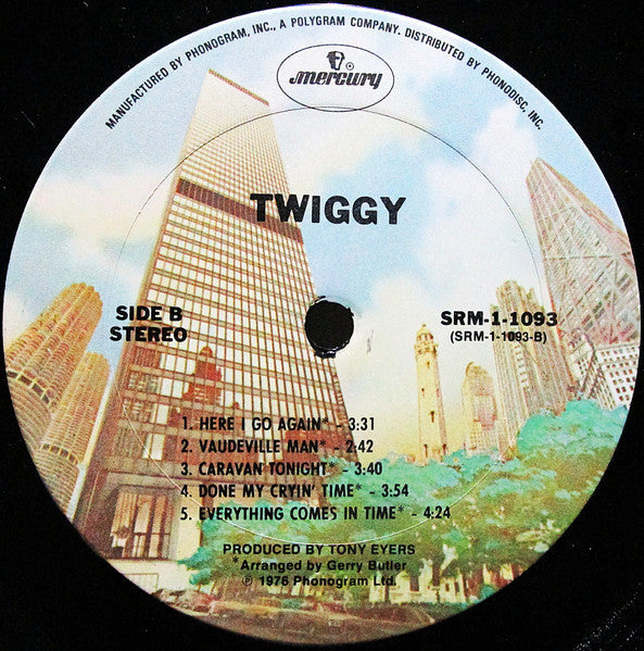 Twiggy (2) - Twiggy (Vinyl, LP, Album, Stereo) Good Plus (G+) / Good Plus (G+)